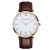 BROWN BAND SILVER DIAL ROSE GOLD CASE 